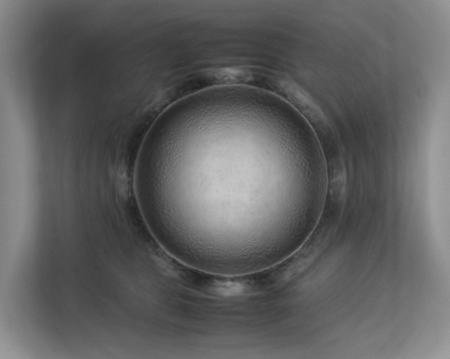 X0000112750469200908201421