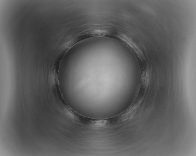 X0000112750474200908201421