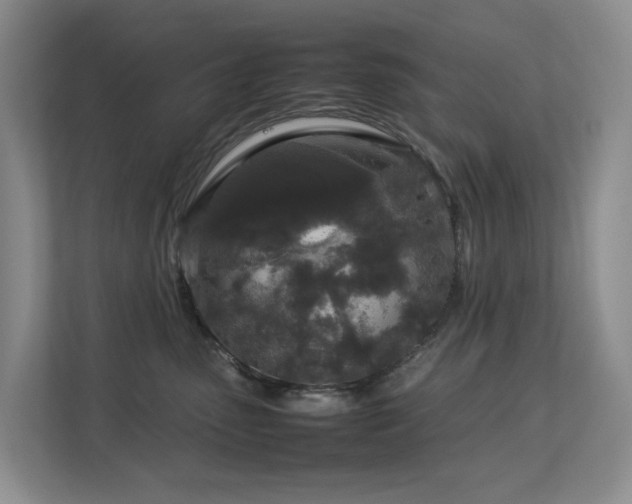 X0000112750475200908201421