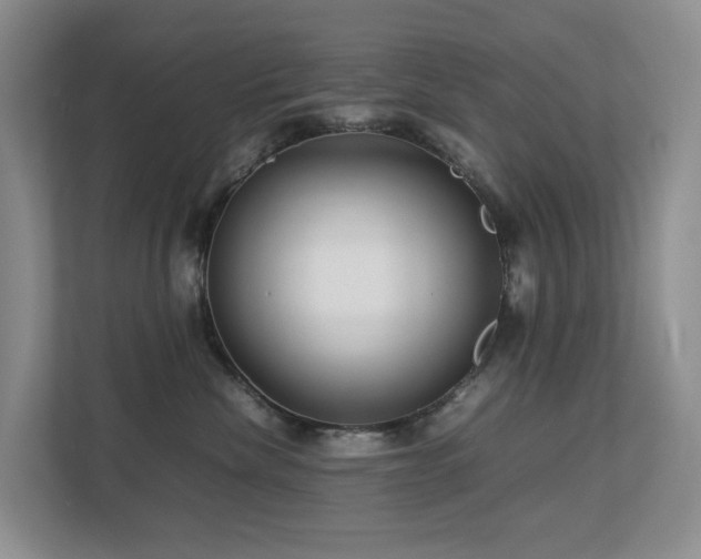 X0000112750476200908201421