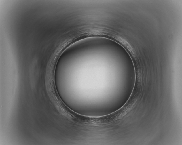 X0000112750481200908201421