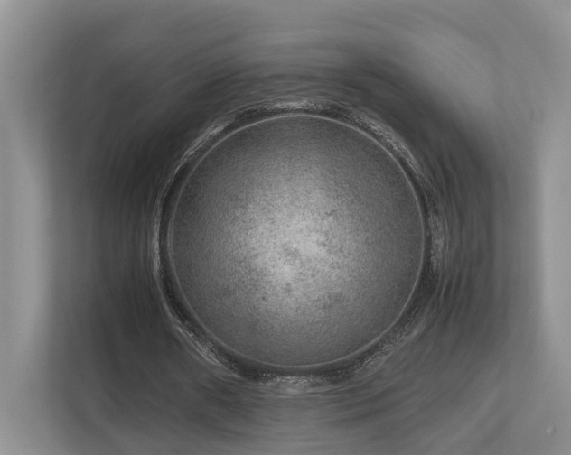 X0000112750482200908201421