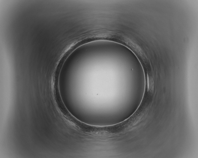 X0000112750483200908201421