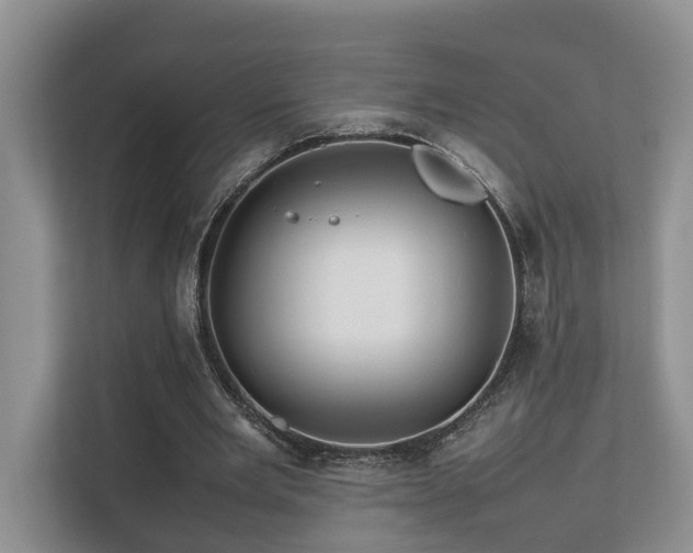 X0000112750485200908201421