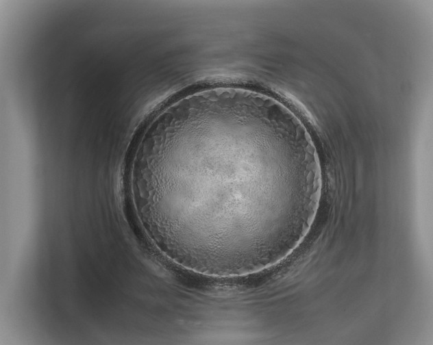 X0000112750487200908201421