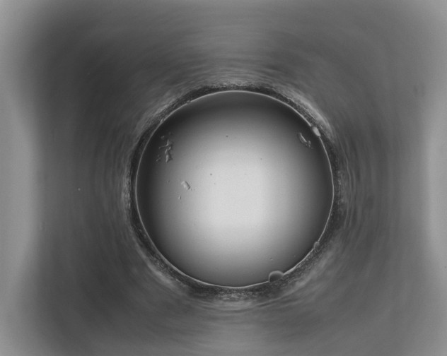 X0000112750489200908201421