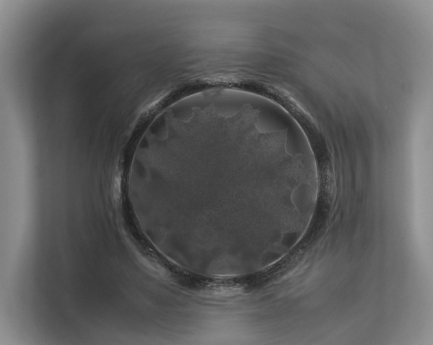 X0000112750491200908201421