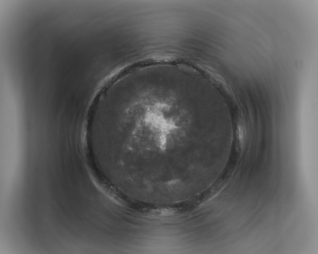 X0000112750492200908201421