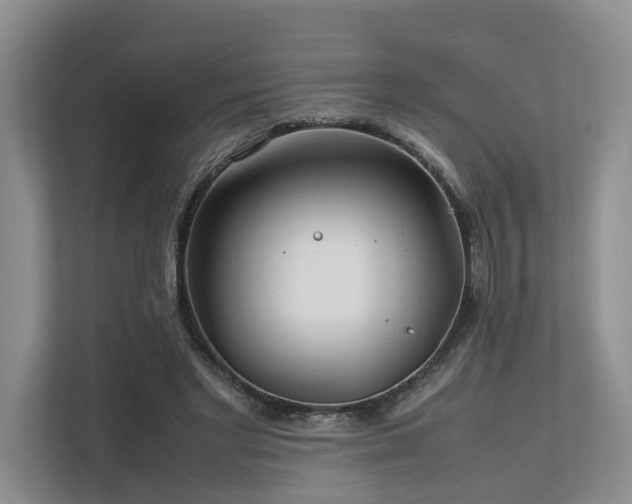 X0000112750493200908201421