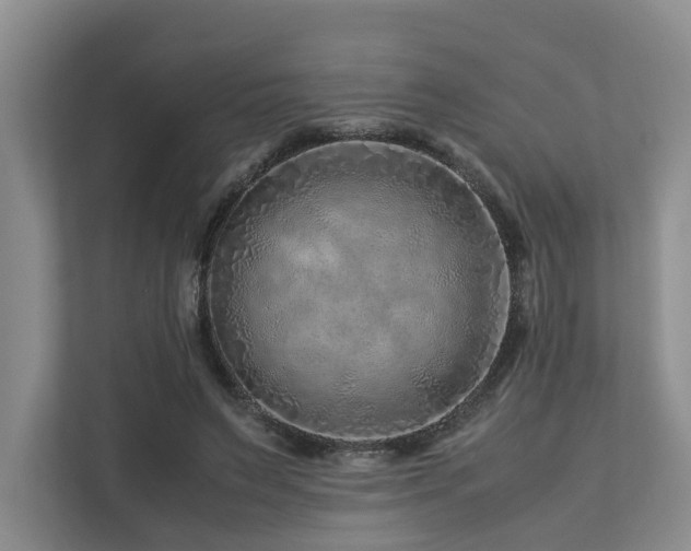 X0000112750495200908201421