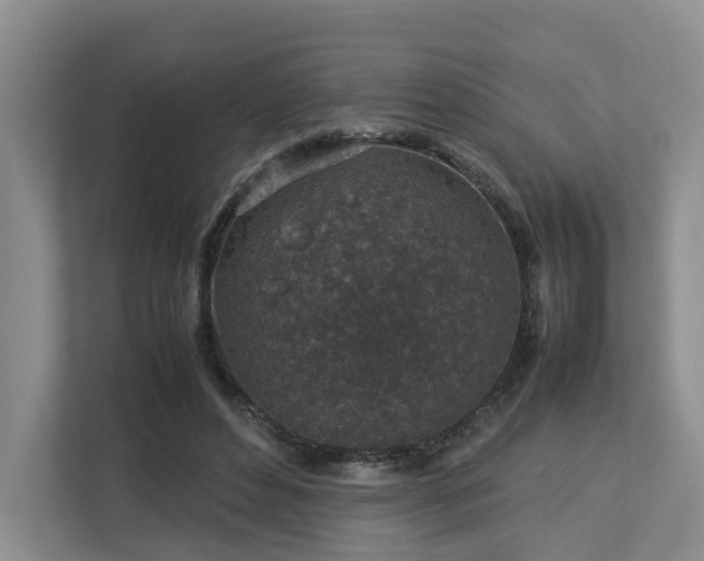 X0000112750496200908201421