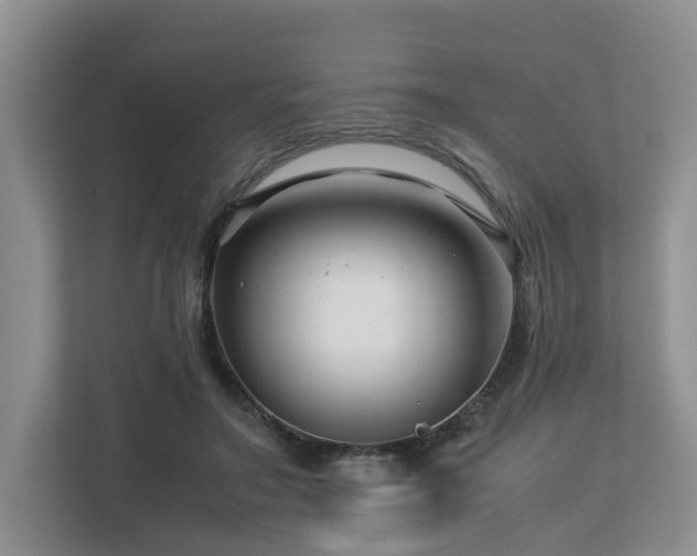 X0000112750499200908201421