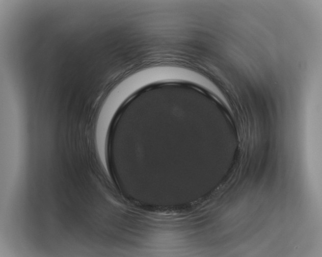 X0000112750500200908201421