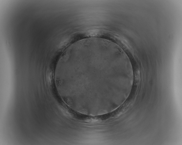 X0000112750503200908201420