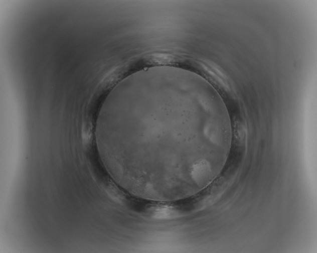 X0000112750507200908201420