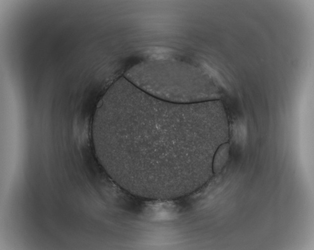 X0000112750517200908201420