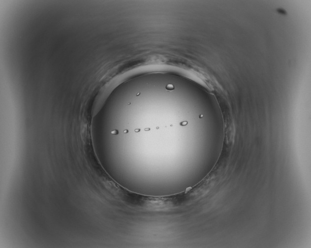 X0000112750521200908201420