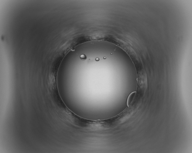 X0000112750523200908201420