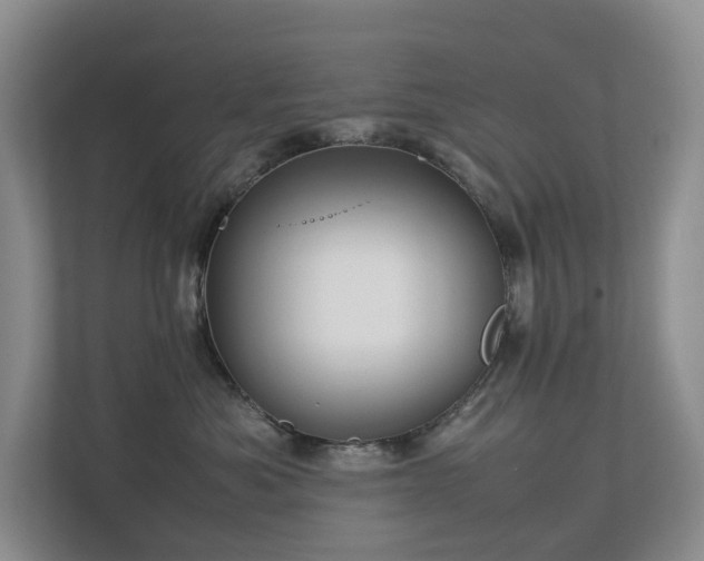 X0000112750525200908201420