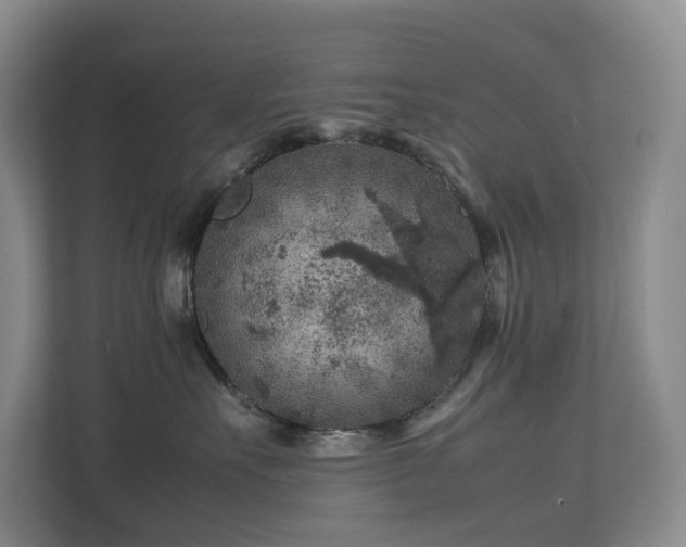 X0000112750527200908201420