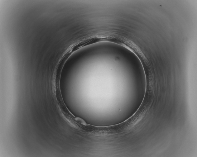 X0000112750530200908201420