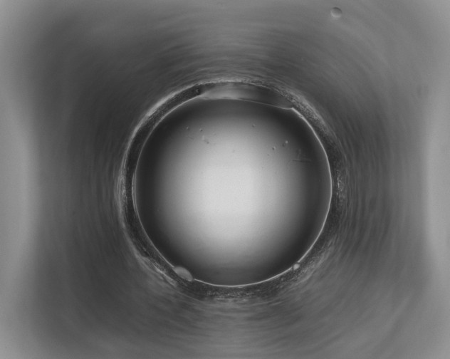 X0000112750532200908201420