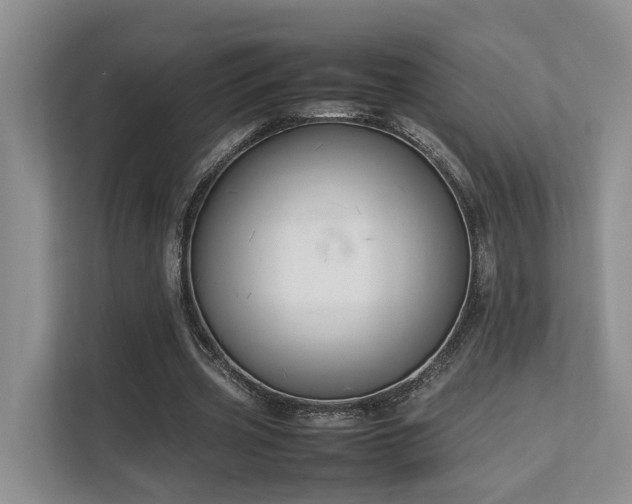 X0000112750533200908201420