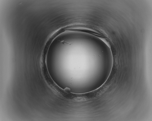 X0000112750536200908201420