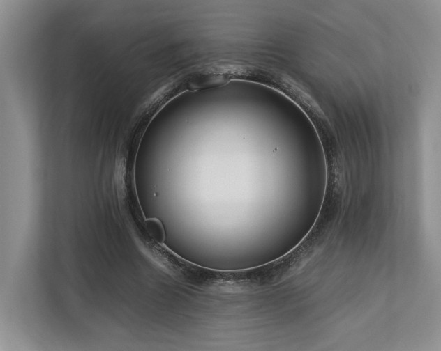 X0000112750538200908201420