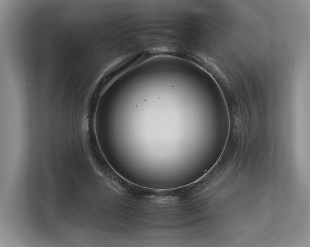 X0000112750539200908201420