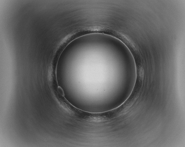 X0000112750540200908201420