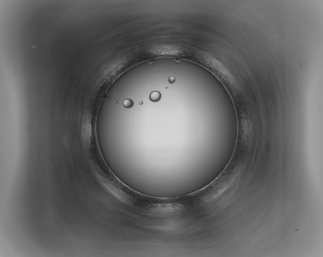 X0000112750541200908201420