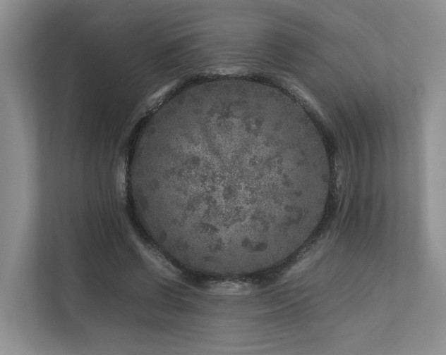 X0000112750542200908201420