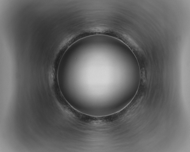 X0000112750544200908201420