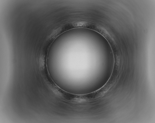 X0000112750545200908201420