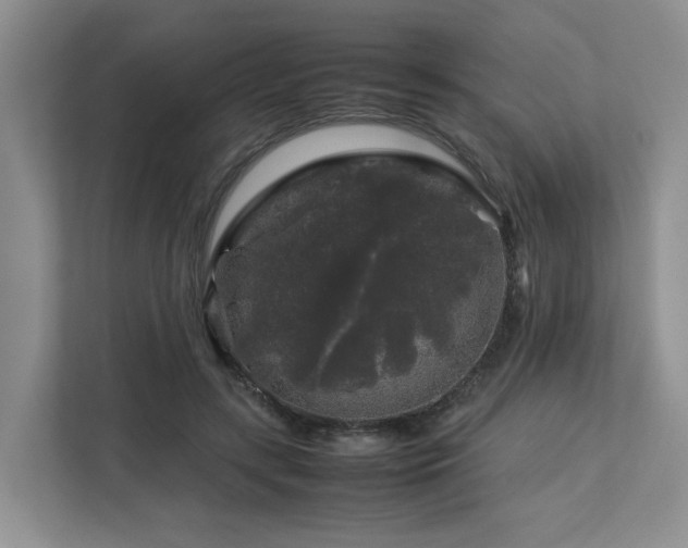 X0000112750547200908201420