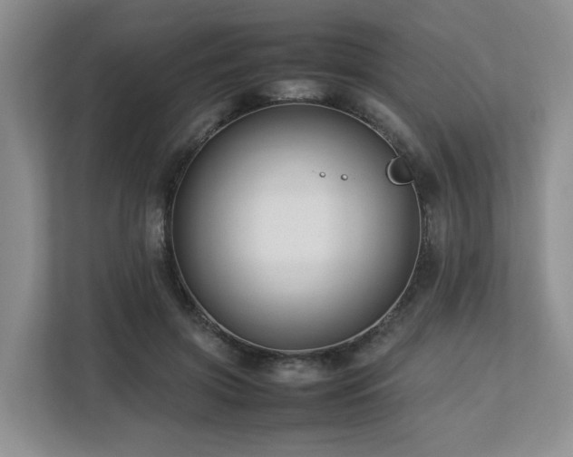 X0000112750549200908201420