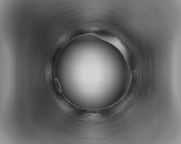 X0000112750552200908201420