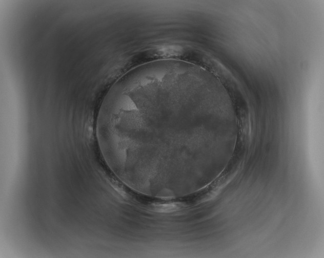 X0000112750553200908201420