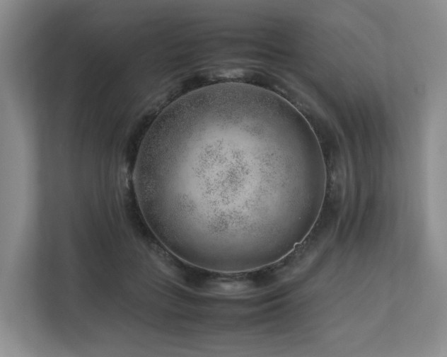 X0000112750555200908201420