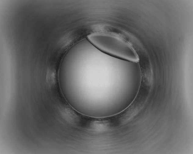 X0000112750556200908201420