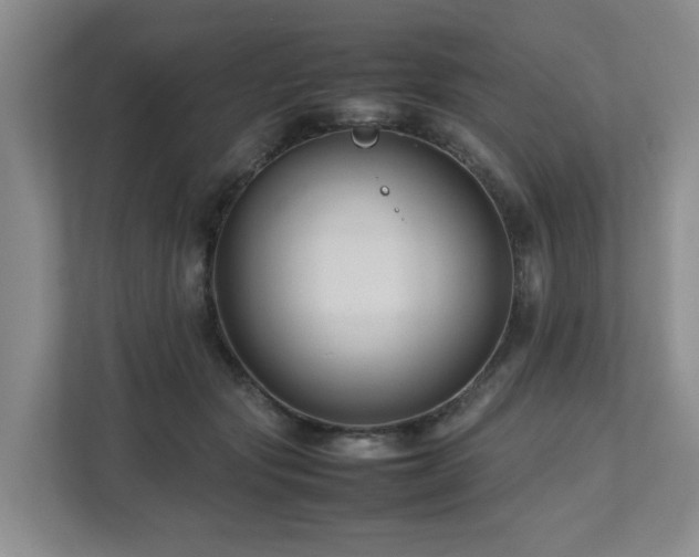 X0000112750557200908201420