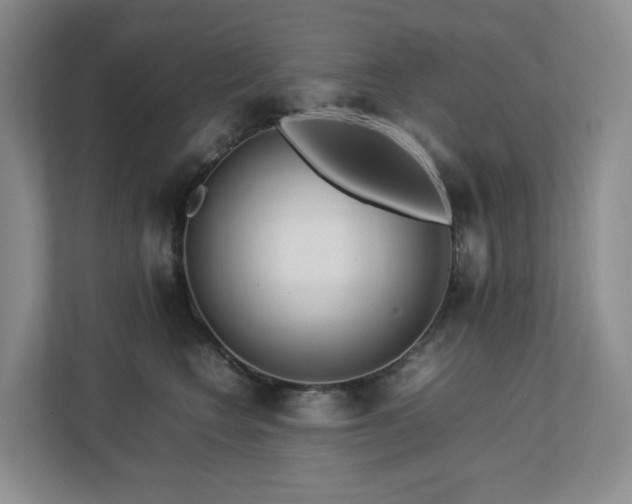 X0000112750566200908201420