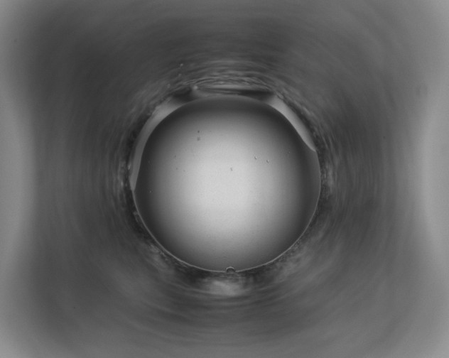 X0000112750567200908201420