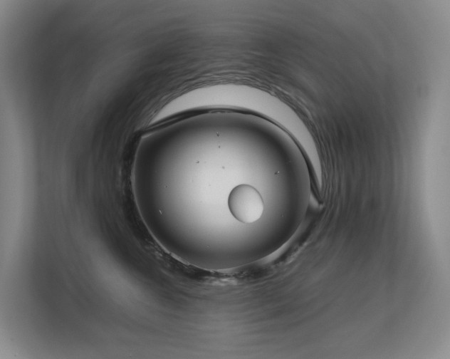 X0000112750572200908201420