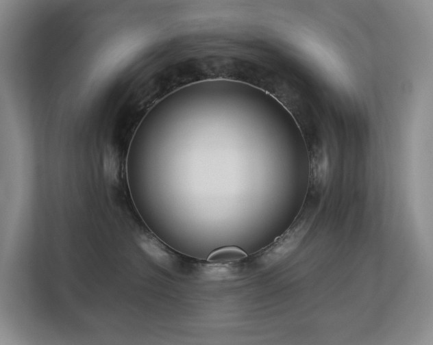 X0000112750574200908201420