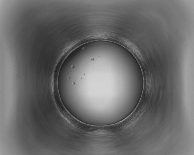 X0000112750578200908201419