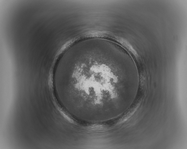 X0000112750581200908201419