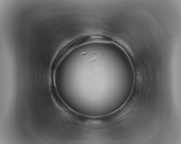 X0000112750582200908201419