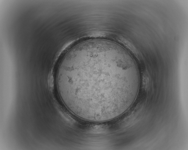 X0000112750584200908201419